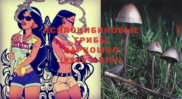 дурь Арсеньев